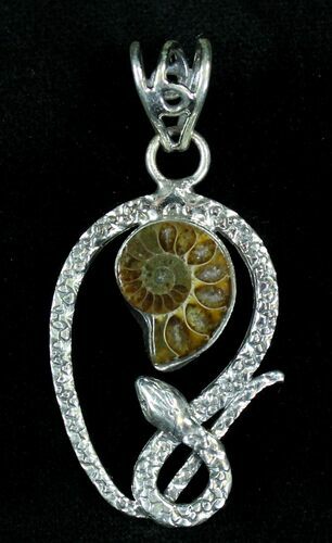 Ammonite Fossil Pendant - Sterling Silver #21055